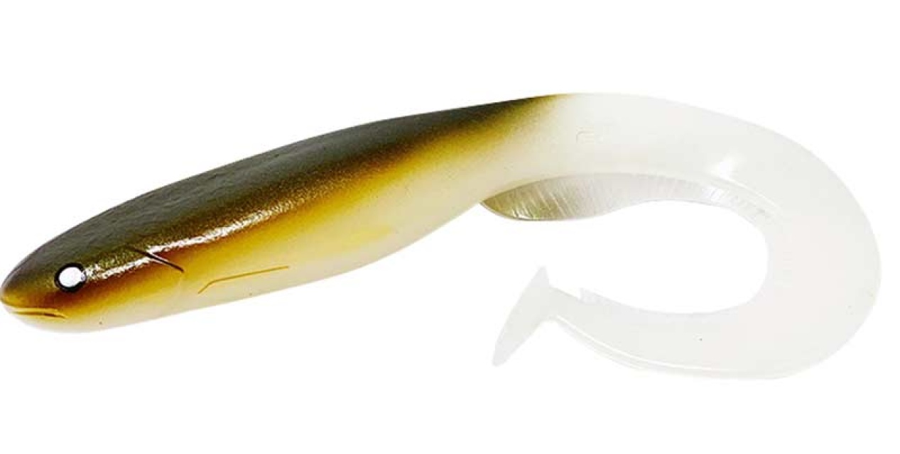 Gator Catfish 45cm 330g