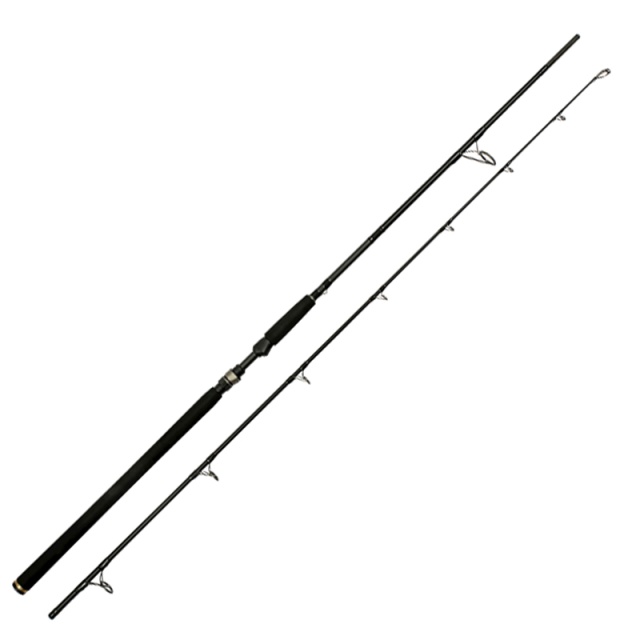 8'3''/248cm XH 20-80g