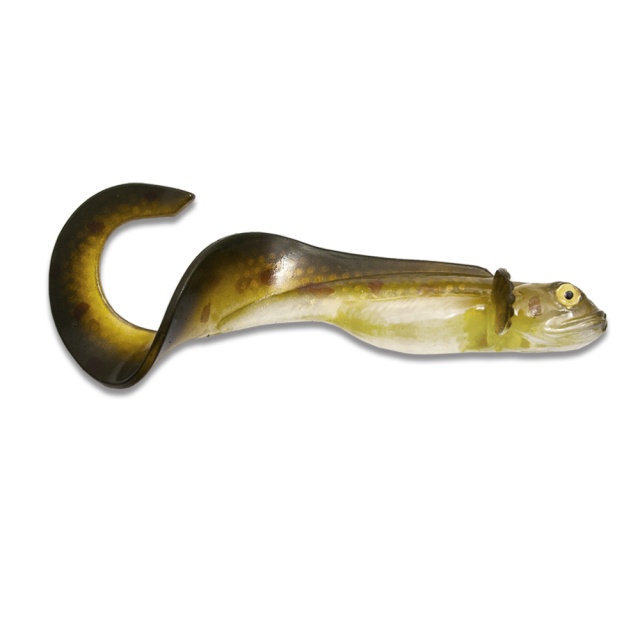 Crystal Eelpout