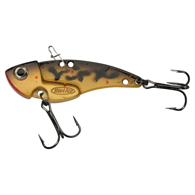 Burbot