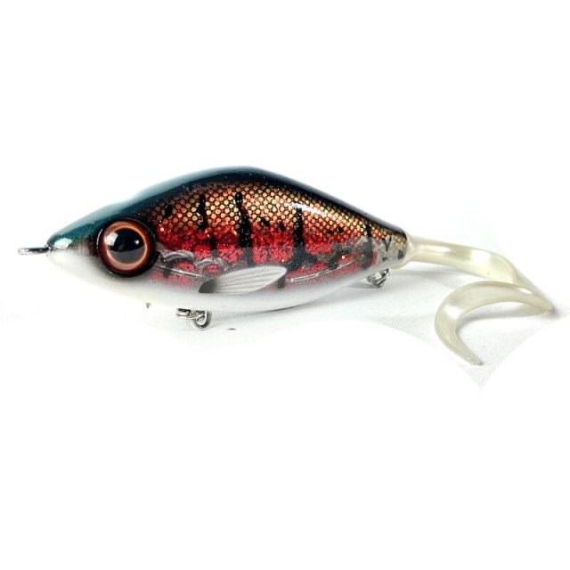 Red Belly Burbot Custom