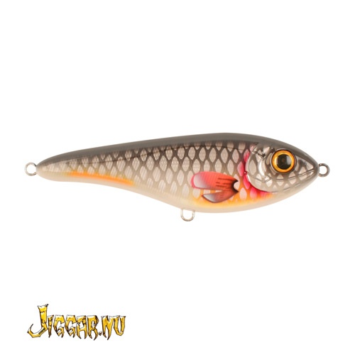 Gray Roach C649F