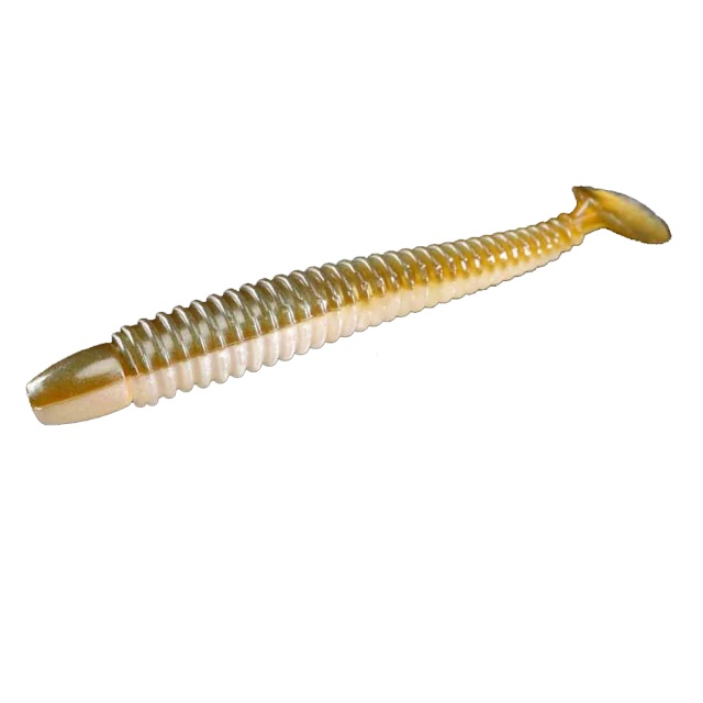 Arkansas Shiner