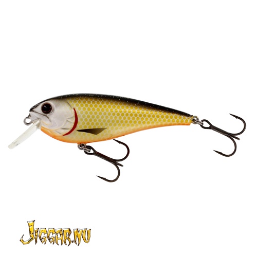 Westin Rawbite 7cm 12g Floating Official Roach