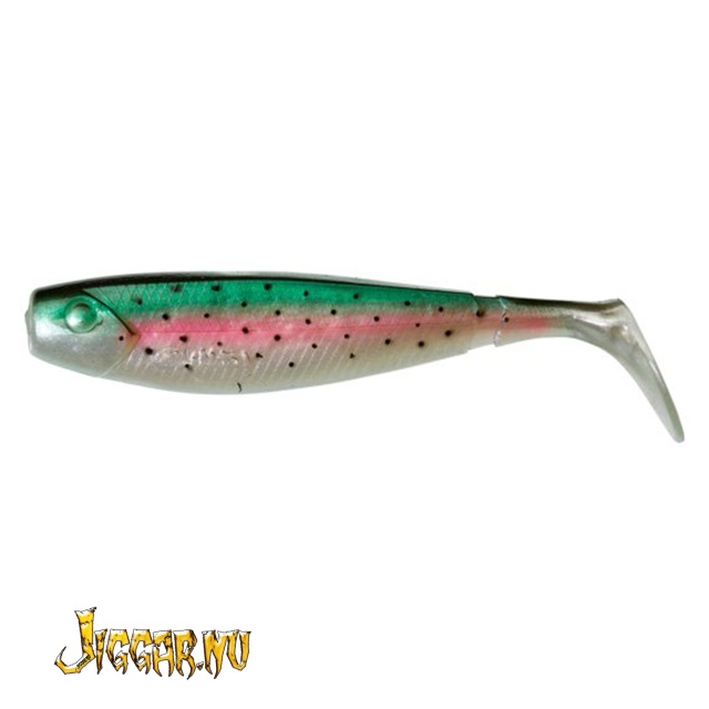 Rainbow Minnow