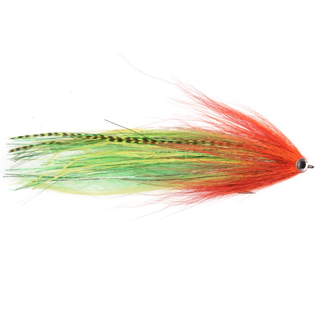 Vision Pike Fly - Parrot