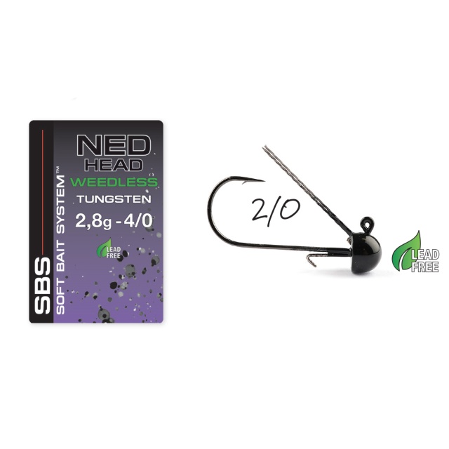 2,8g