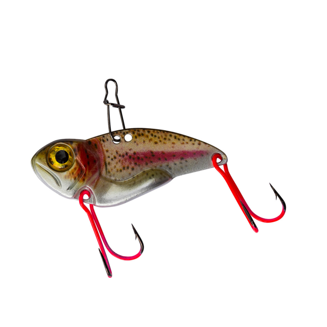 Rainbow Trout