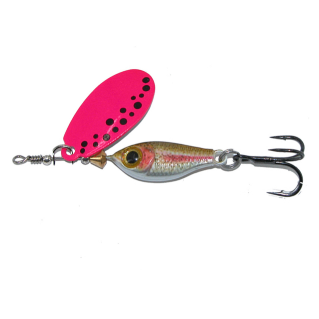 Rainbow Trout