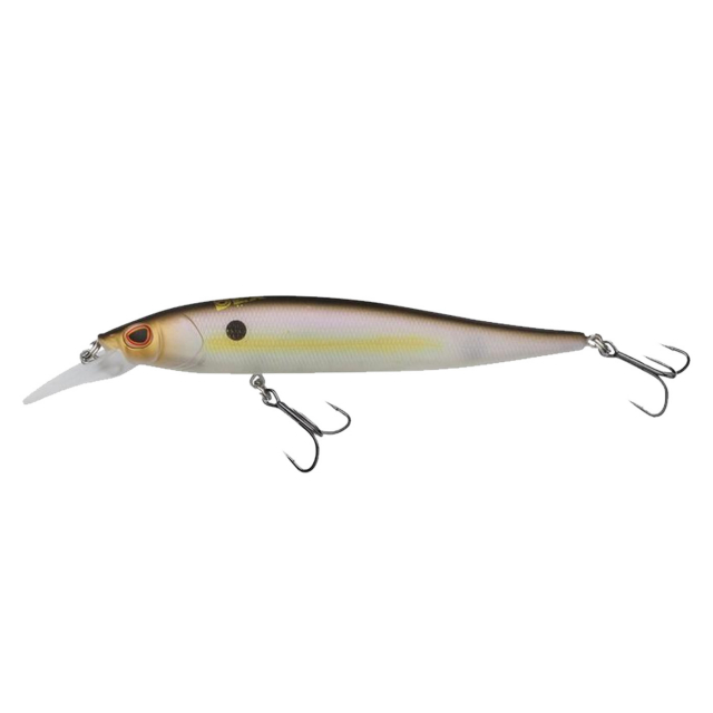 Sexy Shad
