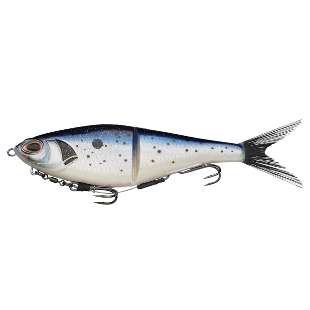 Baitfish
