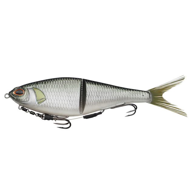 Olive Shad