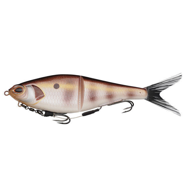 Bream