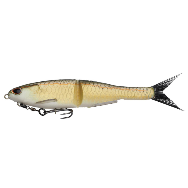 Gold Shad