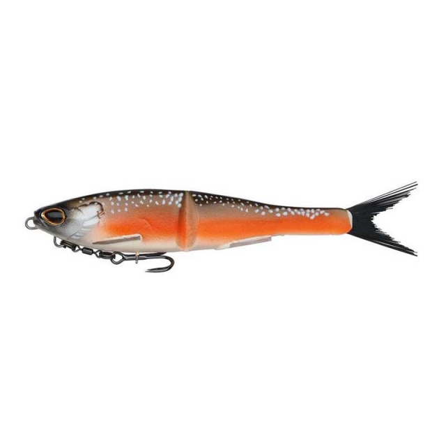 Arctic Char