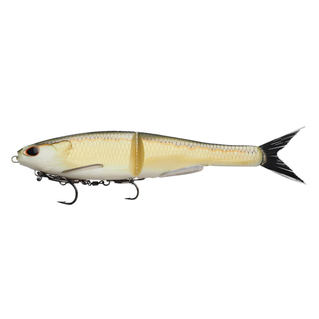 Gold Shad