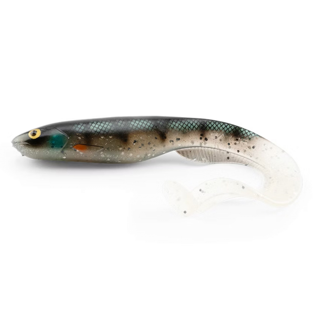Gator Catfish 40cm Ghost Perch