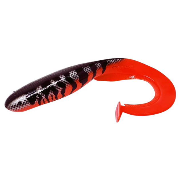 Gator Catfish 40cm HellboyPerch