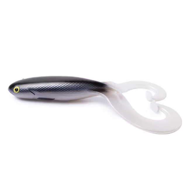 Silver Minnow