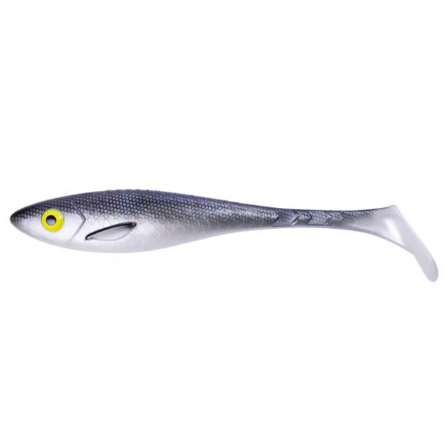Silver Minnow