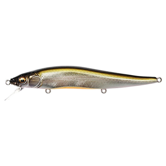 M Stardust Shad Li