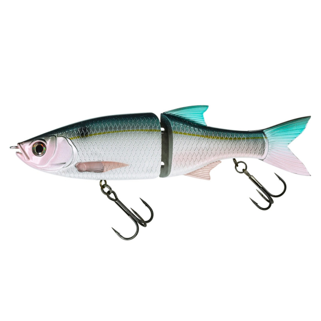 Threadfin Shad