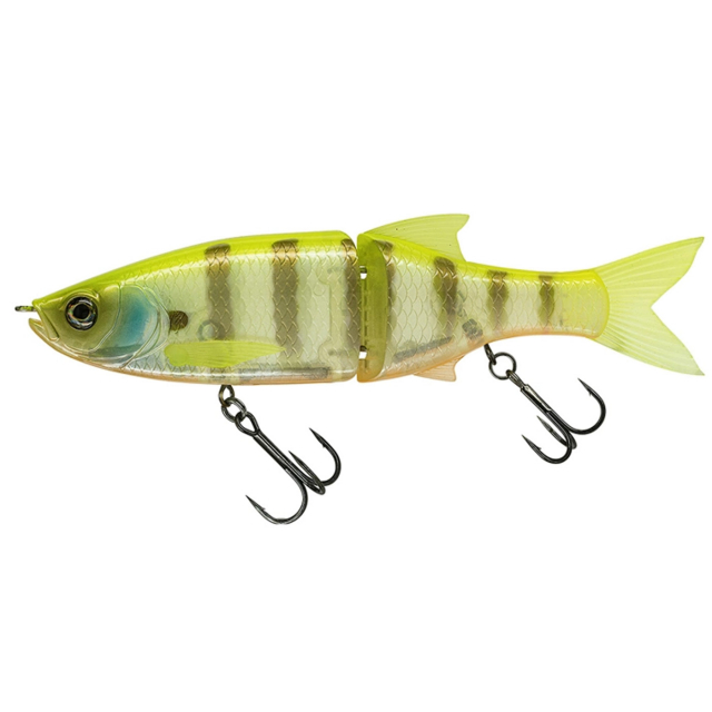 White Gill Orange Belly