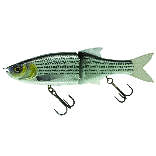 Live Mullet