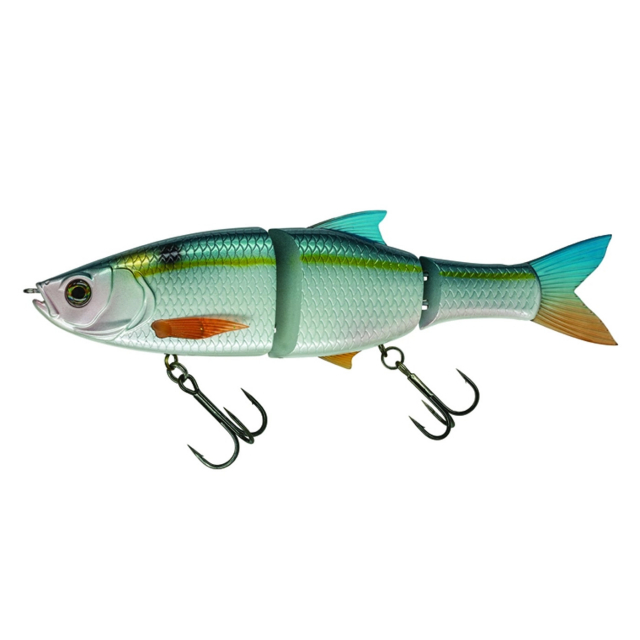 Threadfin Shad