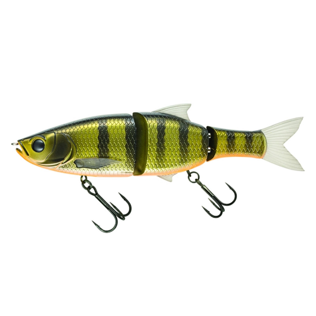 Dark Gill Orange Belly