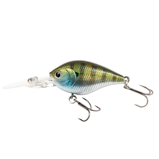 Blue Gill
