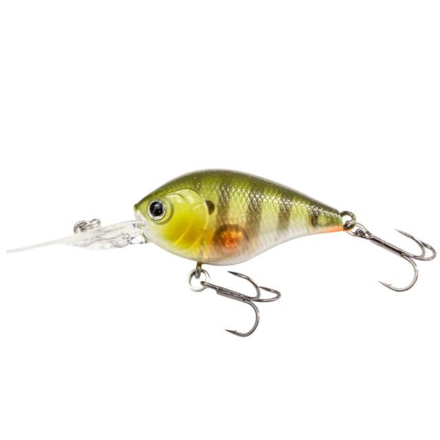 Ghost perch