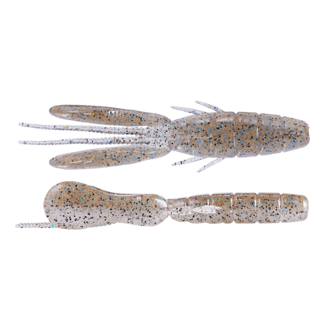 Ghost Shrimp