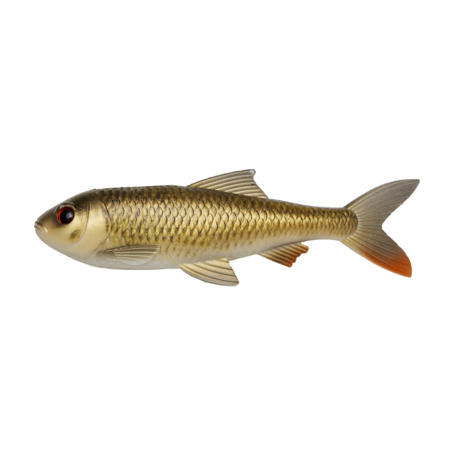 Crucian Carp