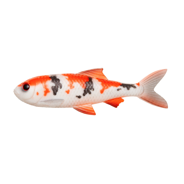 Koi Carp