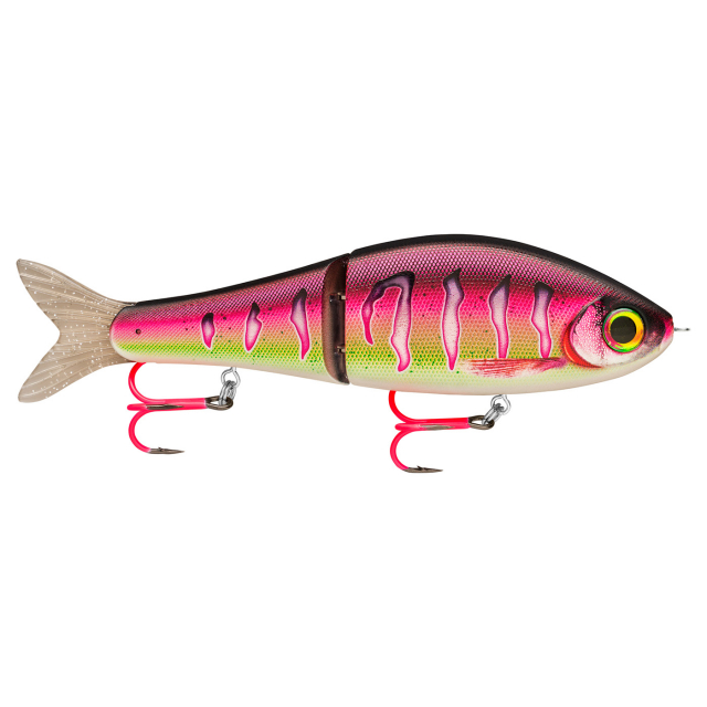 Pink perch
