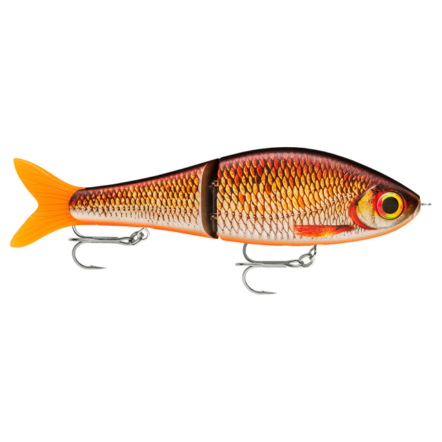 Live Redfin Shiner