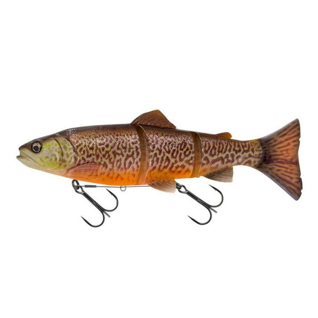 Tiger Trout