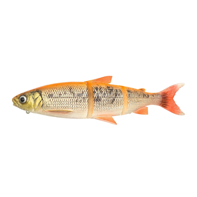Gold Albino