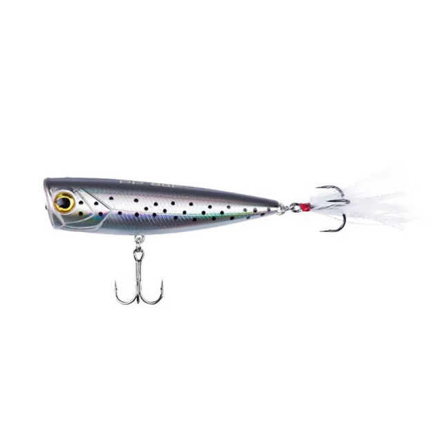 Sea Trout
