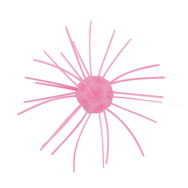 Bubble Gum