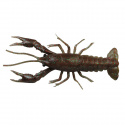 LB 3D Crayfish