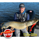 Jiggen 25cm