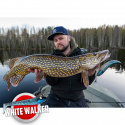 Jiggen 25cm
