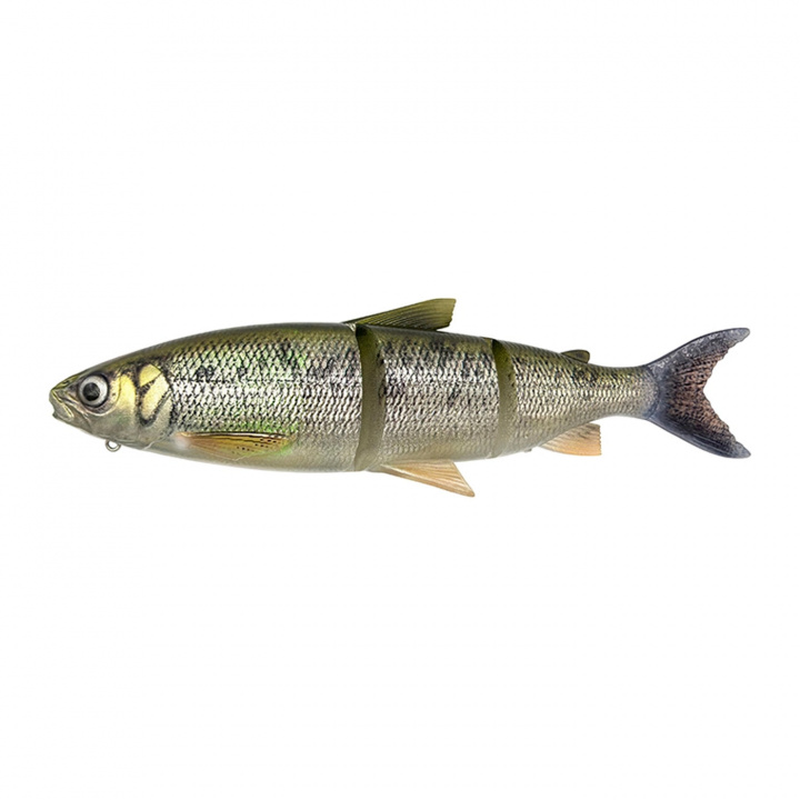 3D Line Thru Whitefish 22cm i gruppen Fiskedrag / Jiggar - Gädda hos Jiggar Sverige AB (1624989-r)
