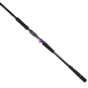 Daiwa Prorex AGS DS Baitcasting (multi)