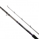 Daiwa Prorex AGS DS Baitcasting (multi)