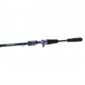 Daiwa Prorex AGS DS Baitcasting (multi)