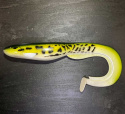 Gator Catfish 45cm 330g