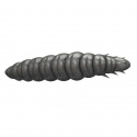 Larva 45mm (8-pack)